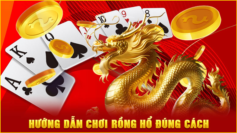 hướng dẫn chơi rồng hổ đúng cách hướng dẫn chơi rồng hổ đúng cách