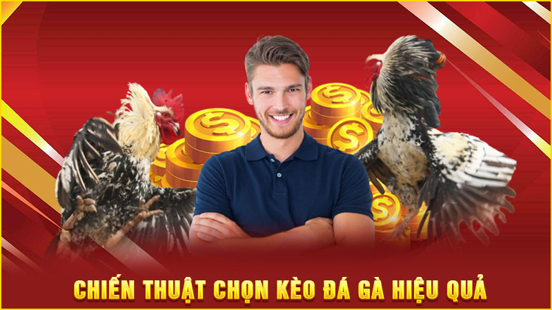 chiến thuật chọn kèo đá gà hiệu quả